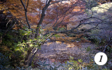 池田山公園